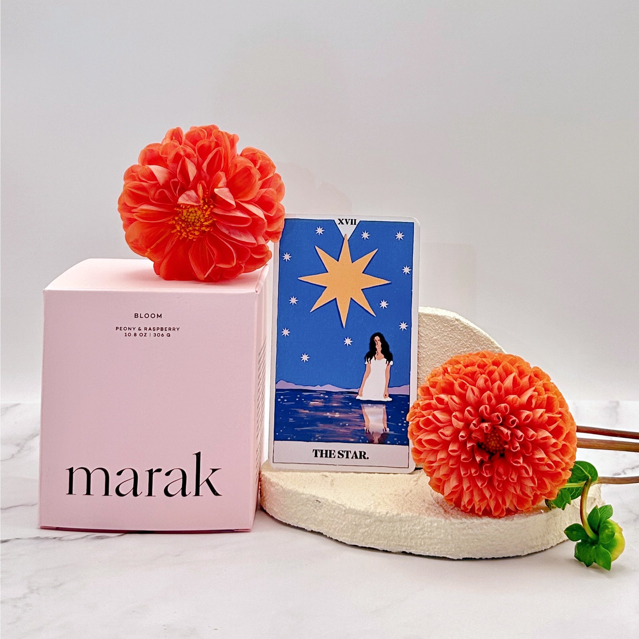 Orm × Hopeful『琥珀』雑誌特典セット 2025年4月単行本特典 | 株式会社ブシロードワークス Orm × Hopeful